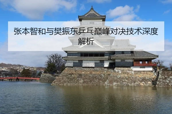 张本智和与樊振东乒乓巅峰对决技术深度解析